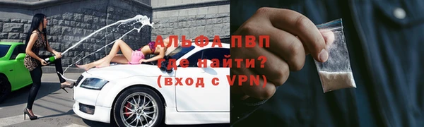 стаф Белоозёрский