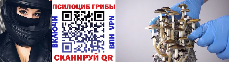 Купить где  Верхний Тагил  Псилоцибиновые грибы мицелий 